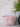 Everyday Tote - Blush Coral Medallion