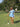 The Georgia Set - Sky Blue Mosaic