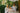 Bathrobe in Garden Party- Long