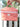 Quilted Train Case - Pink Paloma Stripe