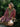 The Sweet and Short Set 3/4 Sleeves- Plum Garden