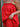 Stevie Set - Red Eyelet Grid
